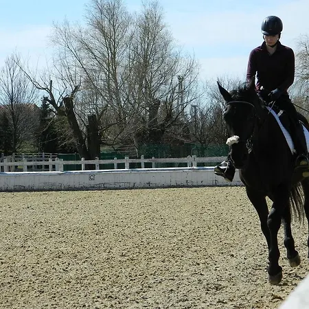 Rezort Club Dobogomajor Superior 3*