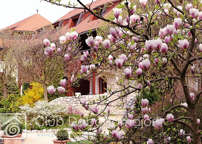 Club Dobogomajor Superior Resort 3*