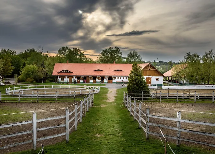 Club Dobogomajor Superior