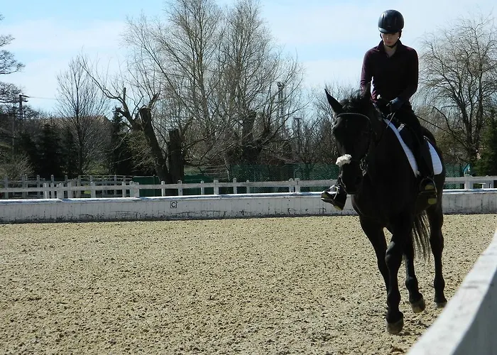 Resort Club Dobogomajor Superior 3*