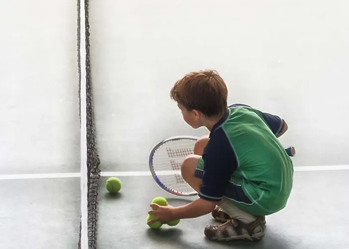 リゾート Club Dobogomajor Superior チェーセクトマイ